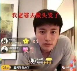 娱乐圈吃瓜连续剧,揭秘明星们的“吃瓜”大戏