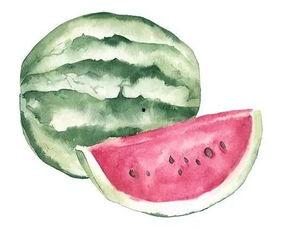 网上吃瓜的意思,揭秘网友围观背后的娱乐狂欢