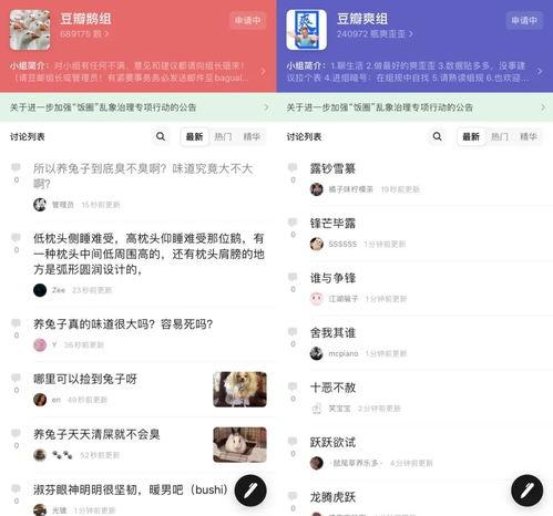 豆瓣娱乐组吃瓜