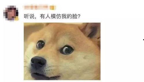 微信表情包吃瓜啥意思,揭秘微信表情包“吃瓜”背后的趣味与内涵