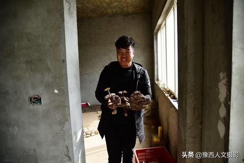 娱乐历史吃瓜社美院求学,娱乐历史中的“吃瓜”求学生活