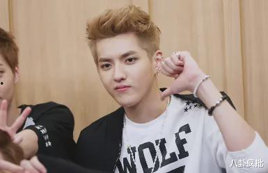 娱乐圈吃瓜李宏毅是谁,揭秘他的明星之路